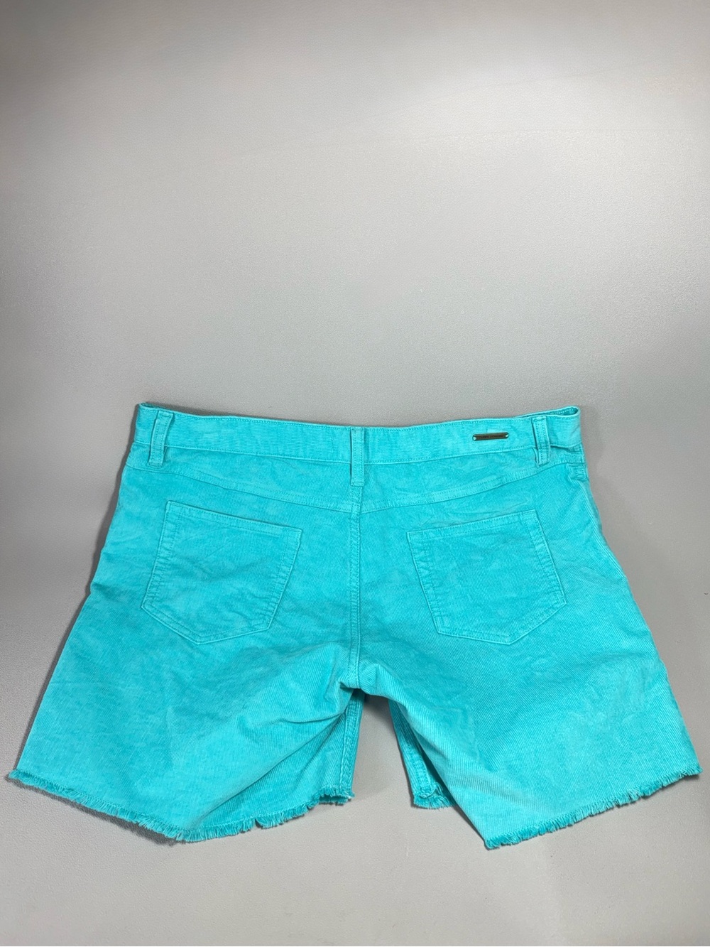 CARVE DESIGN Bright Turquoise Cotton Blend Corduroy Shorts - Picture 3 of 12